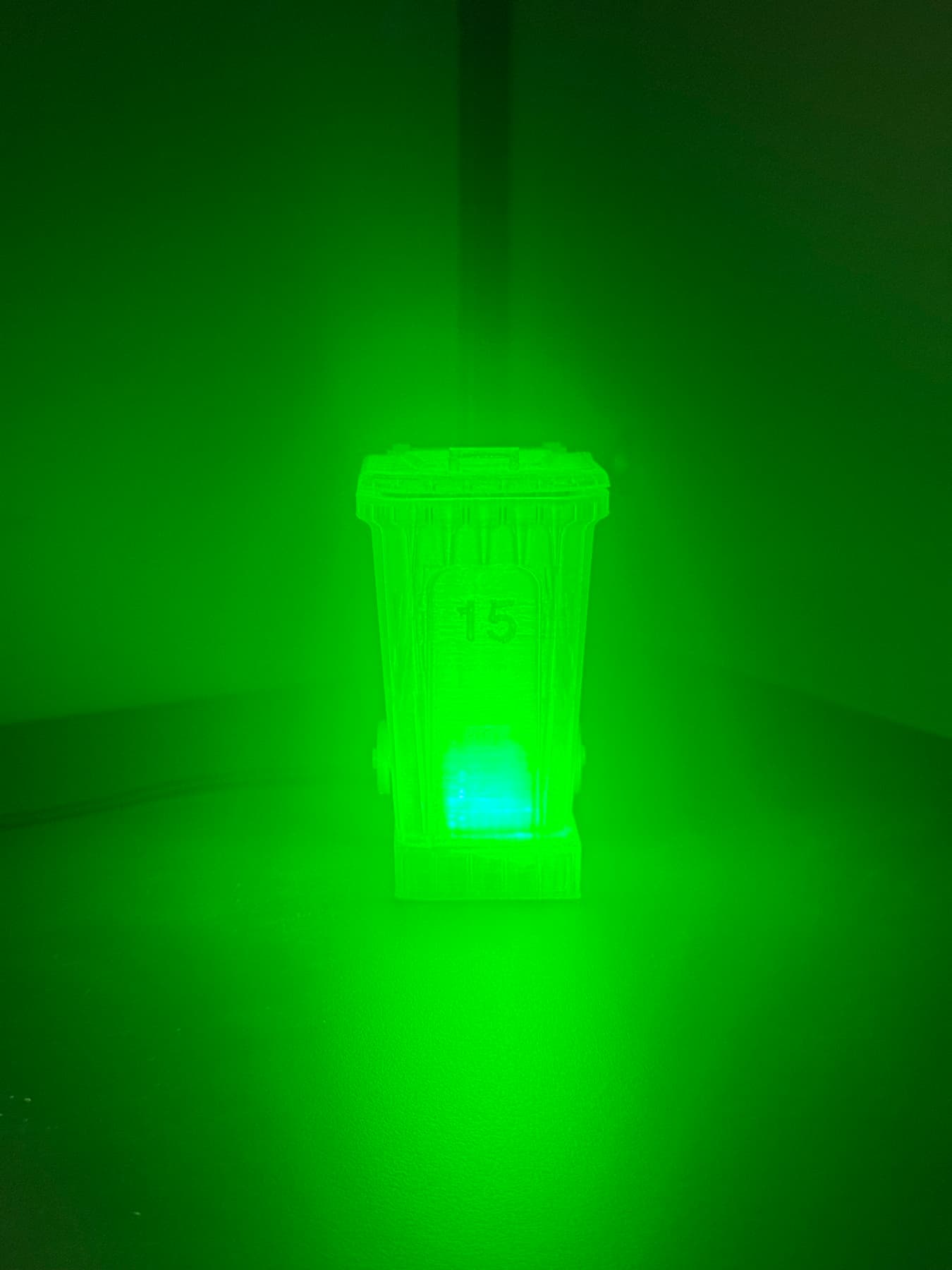 Bright Binnie glowing green in a dark hallway